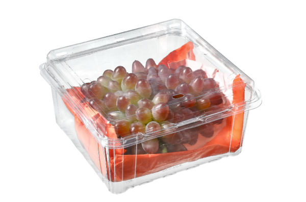 PET Rectangular Plastic Fruit Container for Raisin & Hawthorn – Ningbo ...